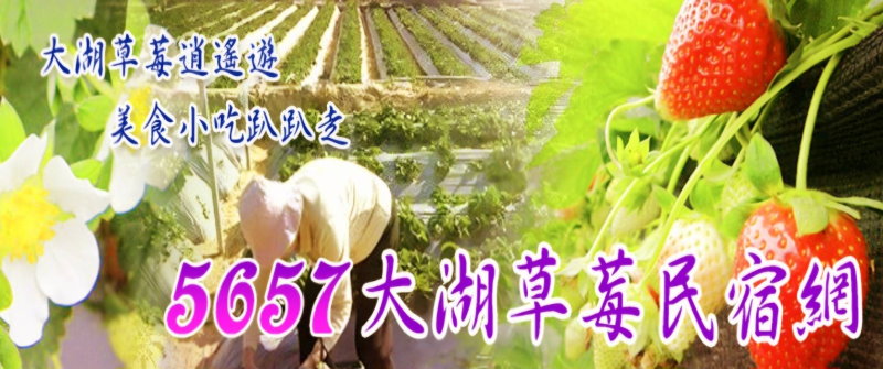 大湖草莓網-大湖草莓季11-4月